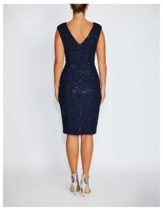 Anthea Crawford Elizabeth Stretch Corded Lace Dress
