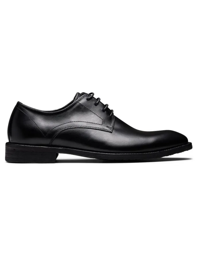 Aquila Daltrey Derby Shoes in Black